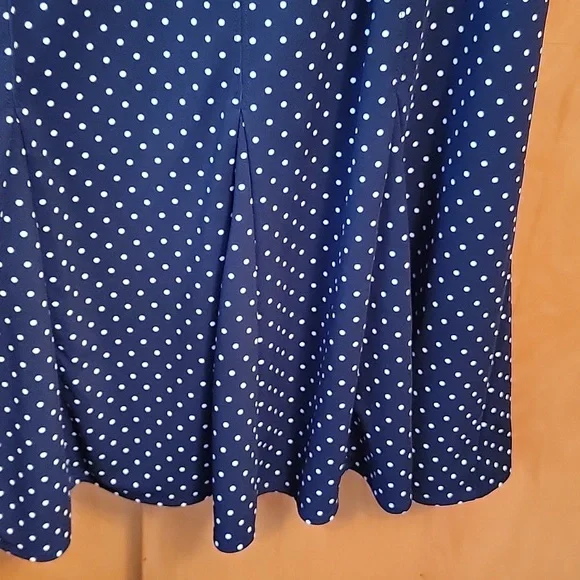 Talbots Blue White Polka Dot Dress - Picture 6 of 12